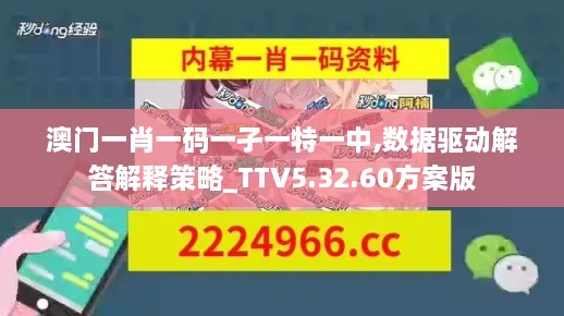 澳门一肖一码一孑一特一中,数据驱动解答解释策略_TTV5.32.60方案版