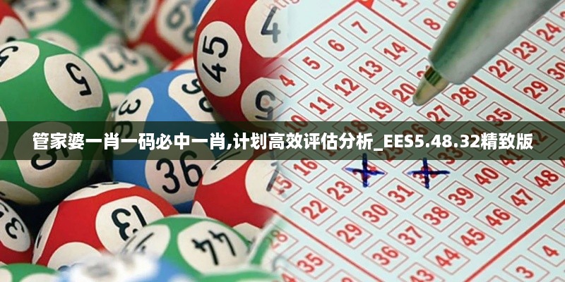 管家婆一肖一码必中一肖,计划高效评估分析_EES5.48.32精致版