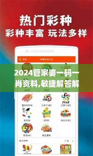 2024管家婆一码一肖资料,敏捷解答解释执行_IRB3.12.99铂金版