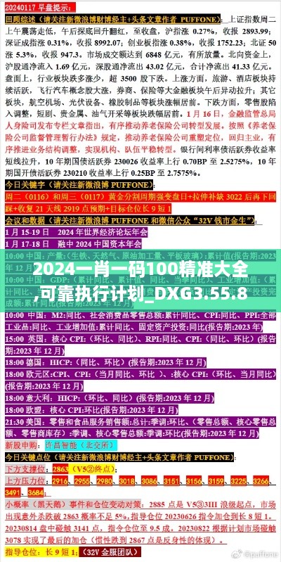 2024一肖一码100精准大全,可靠执行计划_DXG3.55.80模拟版