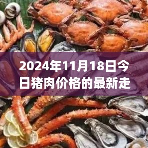 2024年11月18日猪肉价格最新走势深度解析