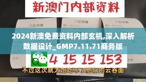 2024新澳免费资料内部玄机,深入解析数据设计_GMP7.11.71商务版