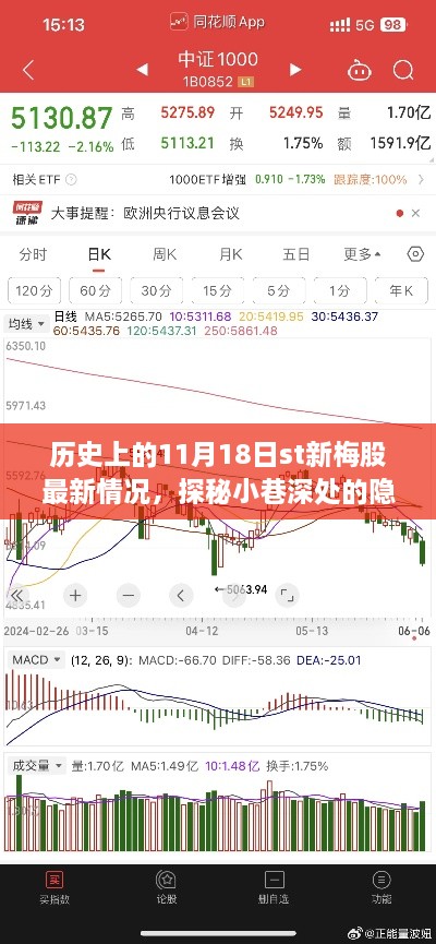 历史上的新梅股动态揭秘，隐藏宝藏与独特小店的故事