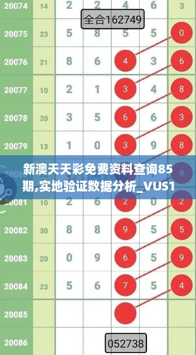 新澳天天彩免费资料查询85期,实地验证数据分析_VUS1.71.94备用版