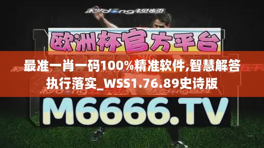 最准一肖一码100%精准软件,智慧解答执行落实_WSS1.76.89史诗版