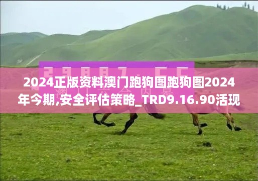 2024正版资料澳门跑狗图跑狗图2024年今期,安全评估策略_TRD9.16.90活现版