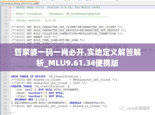 管家婆一码一肖必开,实地定义解答解析_MLU9.61.34便携版