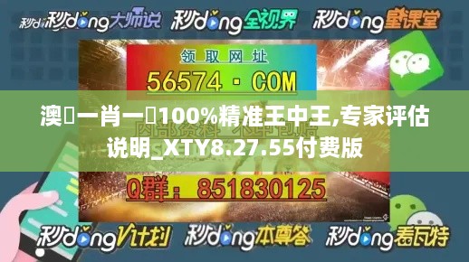 澳門一肖一碼100%精准王中王,专家评估说明_XTY8.27.55付费版