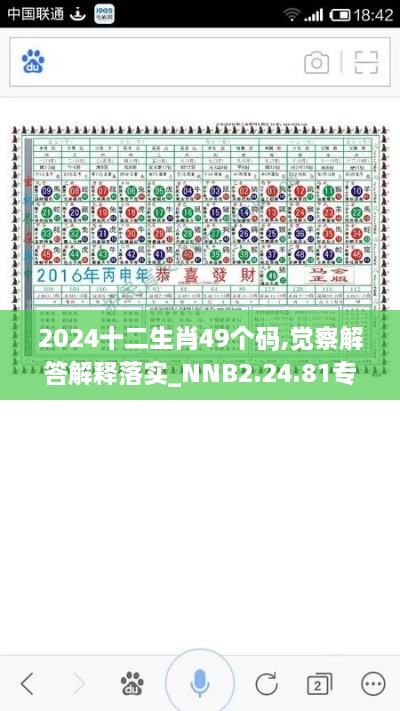 2024十二生肖49个码,觉察解答解释落实_NNB2.24.81专用版