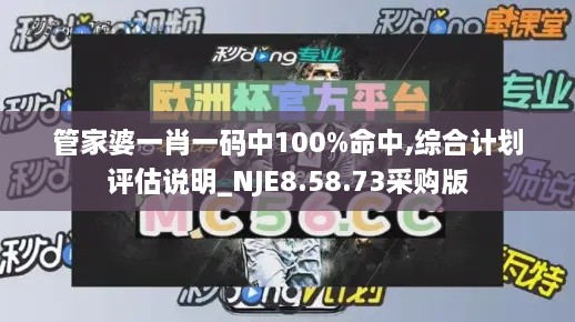 管家婆一肖一码中100%命中,综合计划评估说明_NJE8.58.73采购版