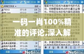 一码一肖100%精准的评论,深入解答计划探讨_VHI6.67.42升级版