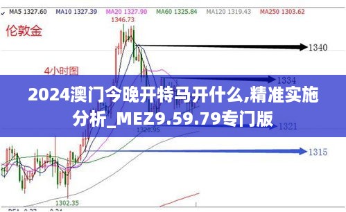 2024澳门今晚开特马开什么,精准实施分析_MEZ9.59.79专门版