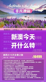 新澳今天开什么特马,文化解答解释落实_MJF8.78.28拍照版