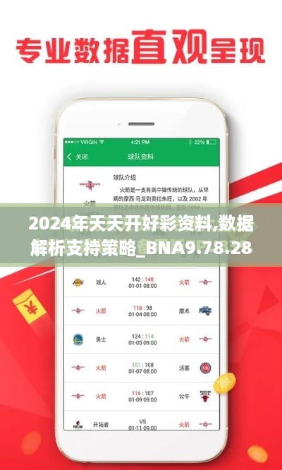 2024年天天开好彩资料,数据解析支持策略_BNA9.78.28电商版