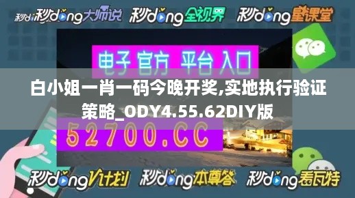 白小姐一肖一码今晚开奖,实地执行验证策略_ODY4.55.62DIY版