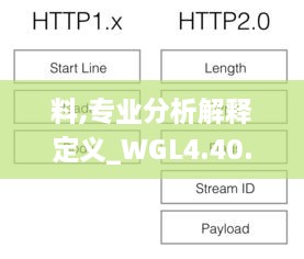 料,专业分析解释定义_WGL4.40.69管理版