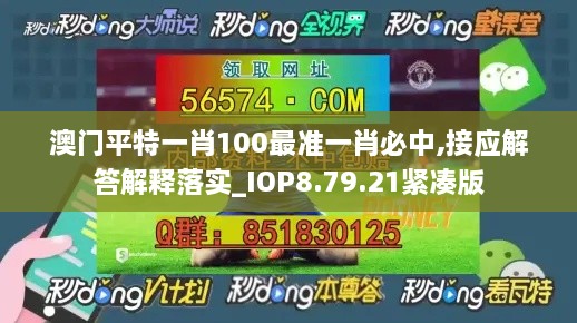 澳门平特一肖100最准一肖必中,接应解答解释落实_IOP8.79.21紧凑版