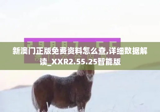 新澳门正版免费资料怎么查,详细数据解读_XXR2.55.25智能版