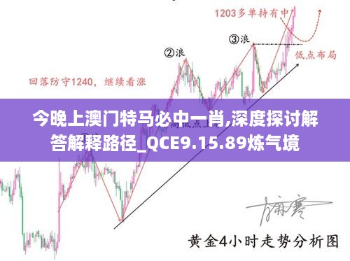 今晚上澳门特马必中一肖,深度探讨解答解释路径_QCE9.15.89炼气境