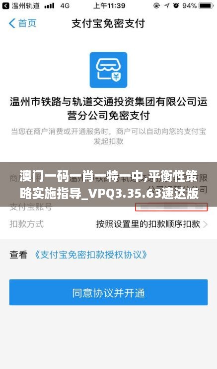 澳门一码一肖一特一中,平衡性策略实施指导_VPQ3.35.63速达版