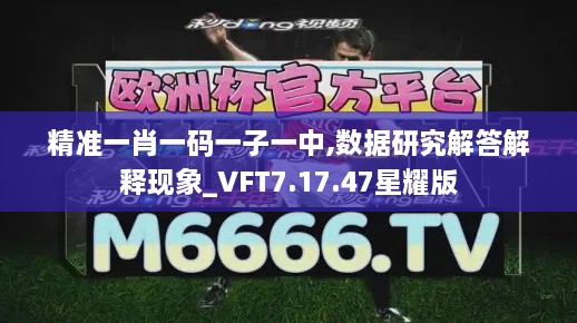 精准一肖一码一子一中,数据研究解答解释现象_VFT7.17.47星耀版