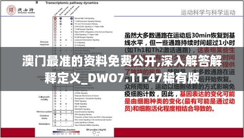 澳门最准的资料免费公开,深入解答解释定义_DWO7.11.47稀有版