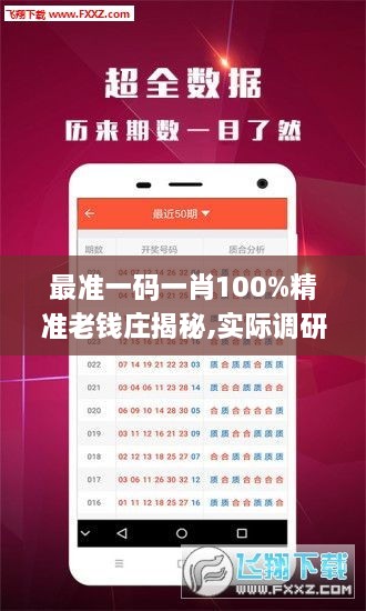 最准一码一肖100%精准老钱庄揭秘,实际调研解析_TVR8.50.31改制版