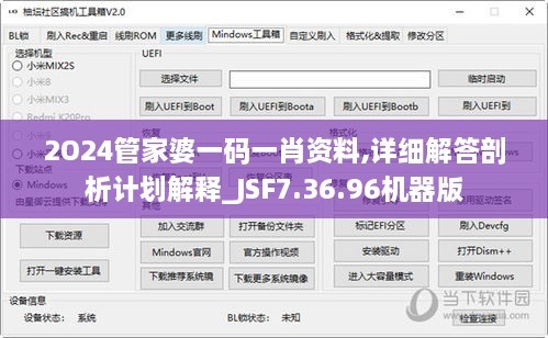 2O24管家婆一码一肖资料,详细解答剖析计划解释_JSF7.36.96机器版