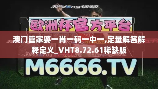 澳门管家婆一肖一码一中一,定量解答解释定义_VHT8.72.61稀缺版