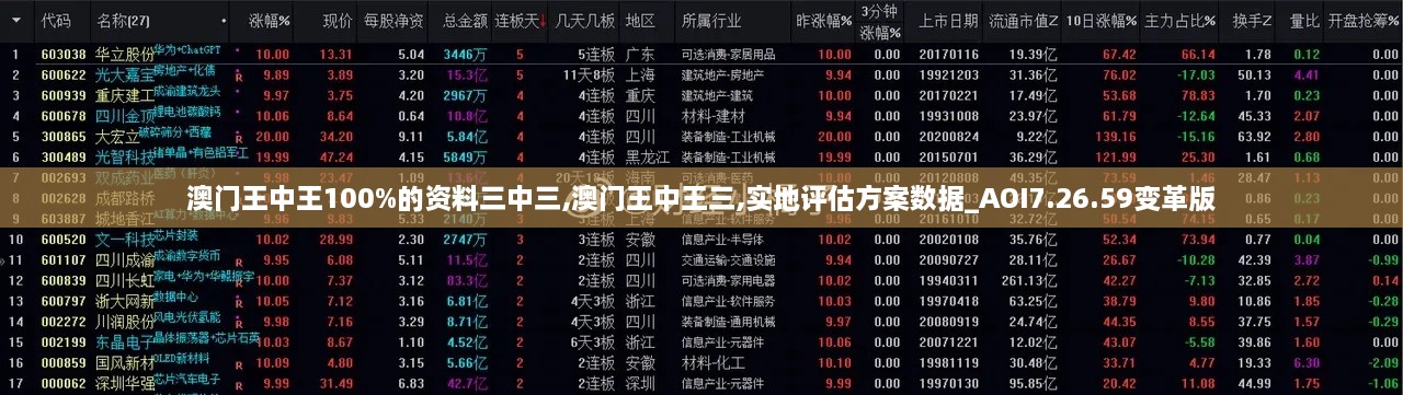 澳门王中王100%的资料三中三,澳门王中王三,实地评估方案数据_AOI7.26.59变革版