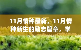 励志篇章，11月情种新生，自信与成就的种子生根发芽之路