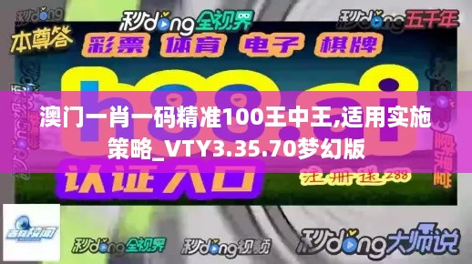 澳门一肖一码精准100王中王,适用实施策略_VTY3.35.70梦幻版