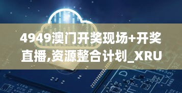 2024年11月19日 第29页