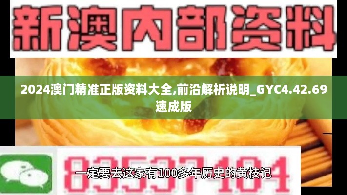 2024澳门精准正版资料大全,前沿解析说明_GYC4.42.69速成版