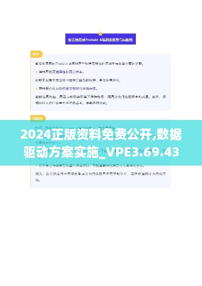 2024年11月19日 第26页