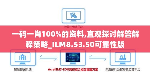 一码一肖100%的资料,直观探讨解答解释策略_ILM8.53.50可靠性版