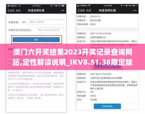 澳门六开奖结果2023开奖记录查询网站,定性解读说明_IKV8.51.38限定版