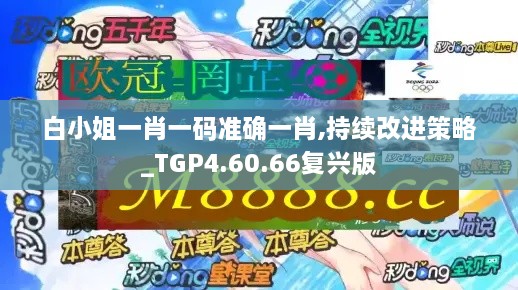 白小姐一肖一码准确一肖,持续改进策略_TGP4.60.66复兴版