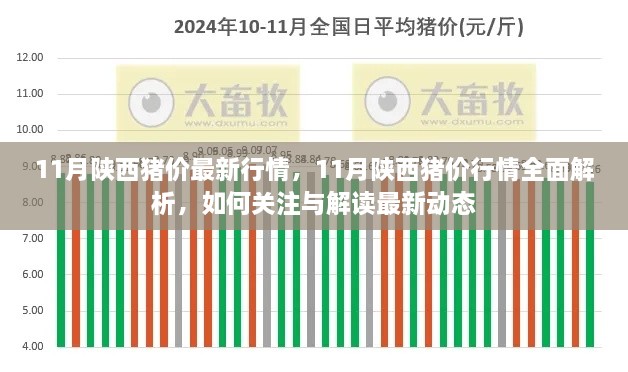 陕西11月猪价行情解析，最新动态关注与解读指南