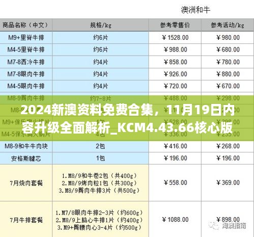 2024新澳资料免费合集，11月19日内容升级全面解析_KCM4.43.66核心版