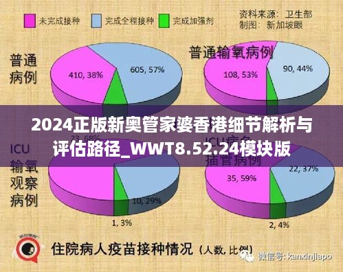 2024正版新奥管家婆香港细节解析与评估路径_WWT8.52.24模块版