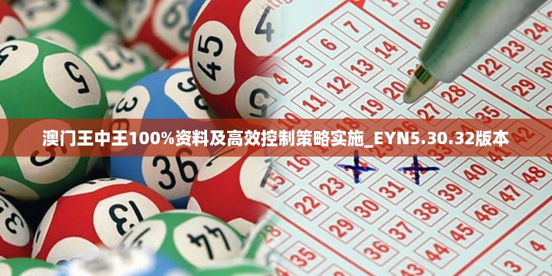 澳门王中王100%资料及高效控制策略实施_EYN5.30.32版本