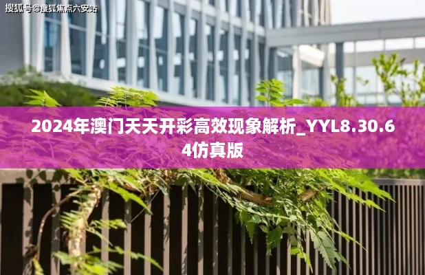 2024年澳门天天开彩高效现象解析_YYL8.30.64仿真版