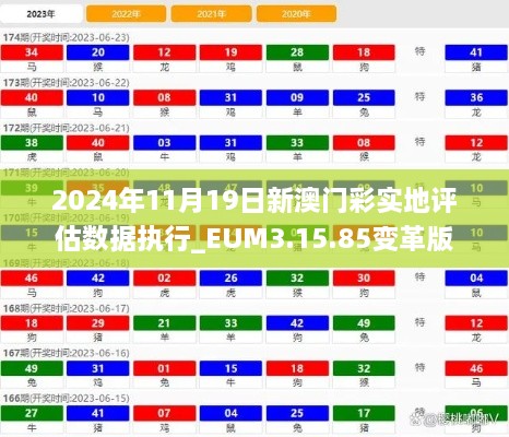 2024年11月19日新澳门彩实地评估数据执行_EUM3.15.85变革版