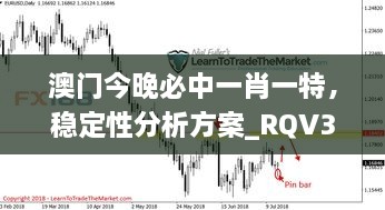 澳门今晚必中一肖一特，稳定性分析方案_RQV3.65.66高速版