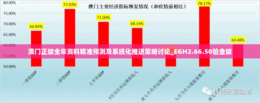 澳门正版全年资料精准预测及系统化推进策略讨论_EGH2.66.50铂金版