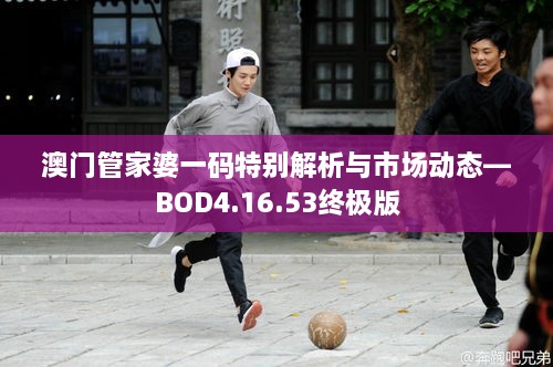 澳门管家婆一码特别解析与市场动态—BOD4.16.53终极版