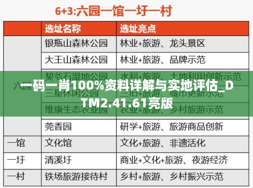 一码一肖100%资料详解与实地评估_DTM2.41.61亮版