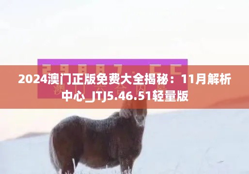 2024澳门正版免费大全揭秘：11月解析中心_JTJ5.46.51轻量版