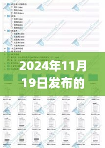 2024年11月19日发布的澳洲精准资料222期，高效评估与解答方案_BYL6.63.25迅捷版